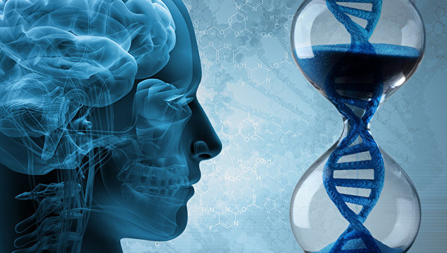 Генетическая программа старения мозга
