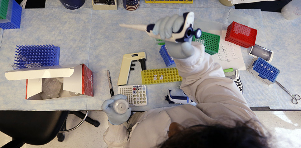 Клонирование сегментов ДНК в лаборатории 