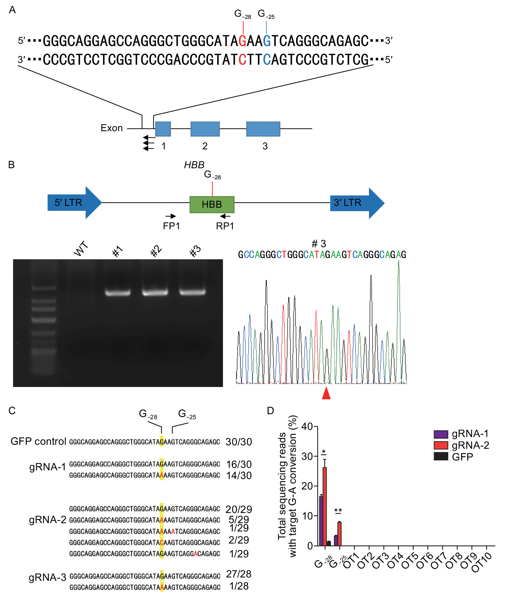 Устранение мутации A>G путём замены основания G на основание A в редакторе ДНК