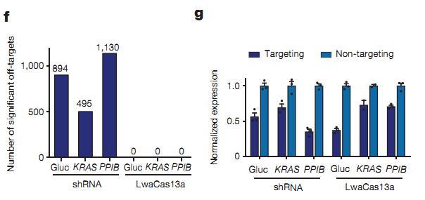  CRISPR/Cas13a и РНК-интерференция