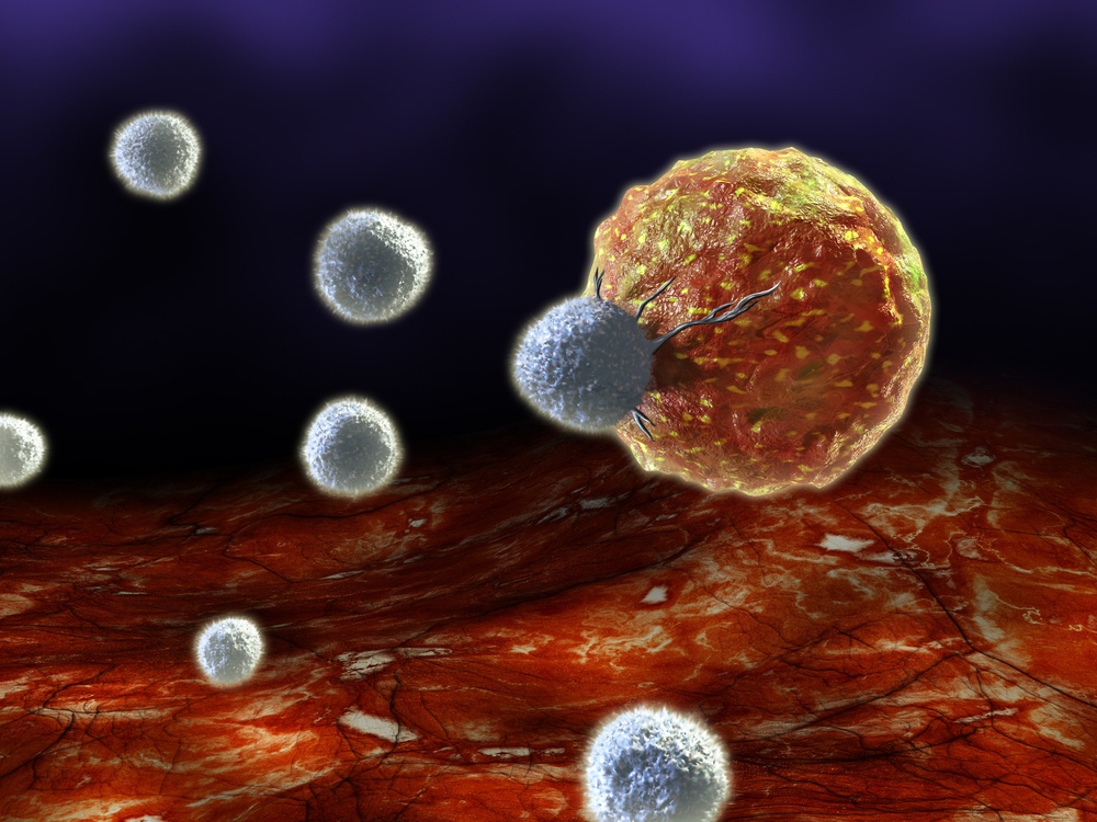 иммунитет и рак