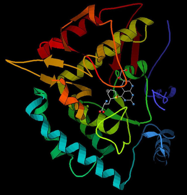 Фенилаланингидроксилаза (PAH)