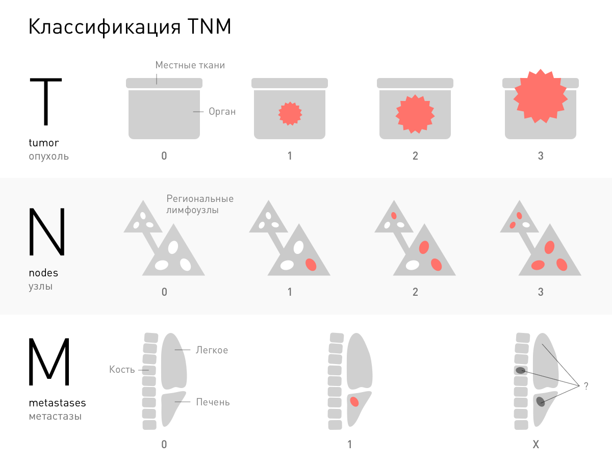 классификация TNM