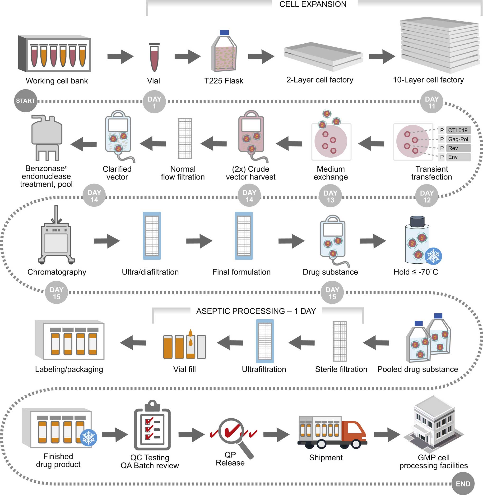 lentiviral vector manufacting