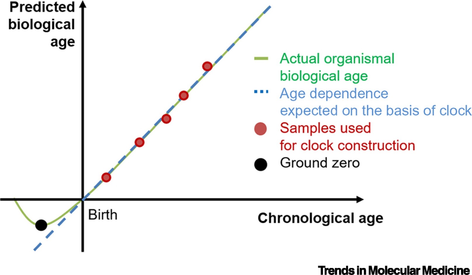 What is biological age. Biological measurements.