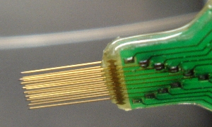 16wire electrode array-implantat