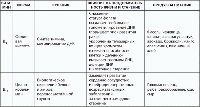 120 лет жизни – только начало. Как победить старение?