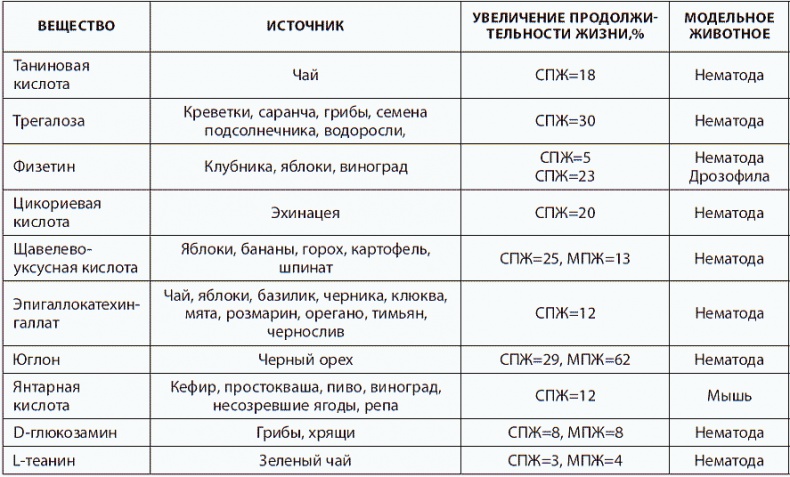 120 лет жизни – только начало. Как победить старение?