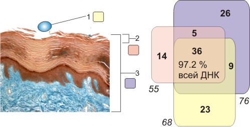 Fig.1