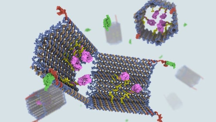 dna computers nanorobots 2