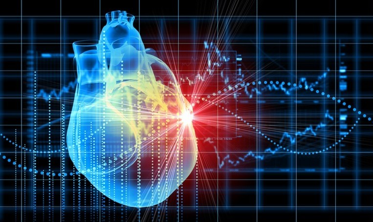 heart muscle regeneration 5