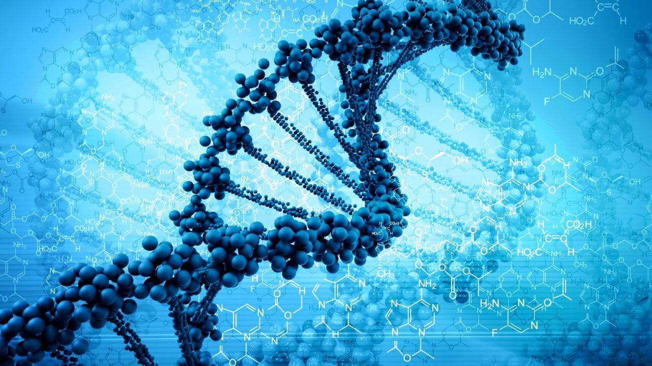 написать первый человеческий геном к 2026 году